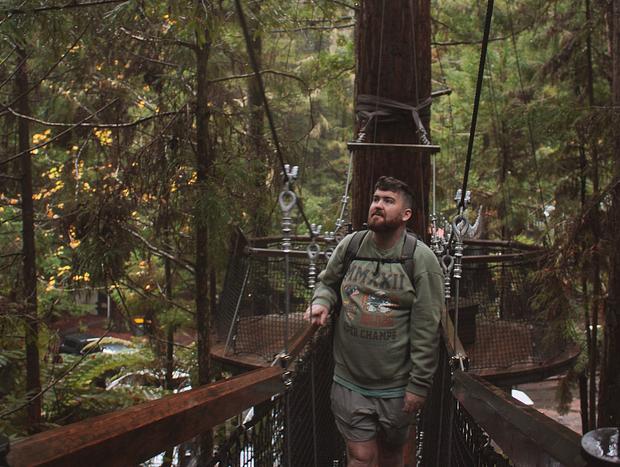 Photo 1 for Redwoods Treewalk