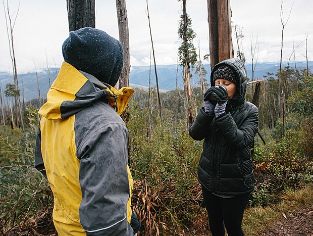 Photo 20 for Hiking the High Country