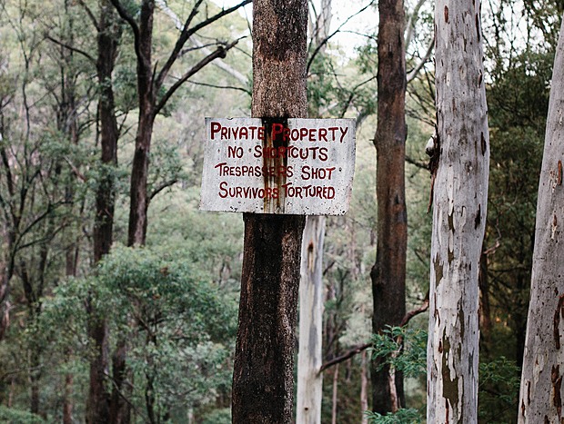 Photo 24 for Hiking the High Country