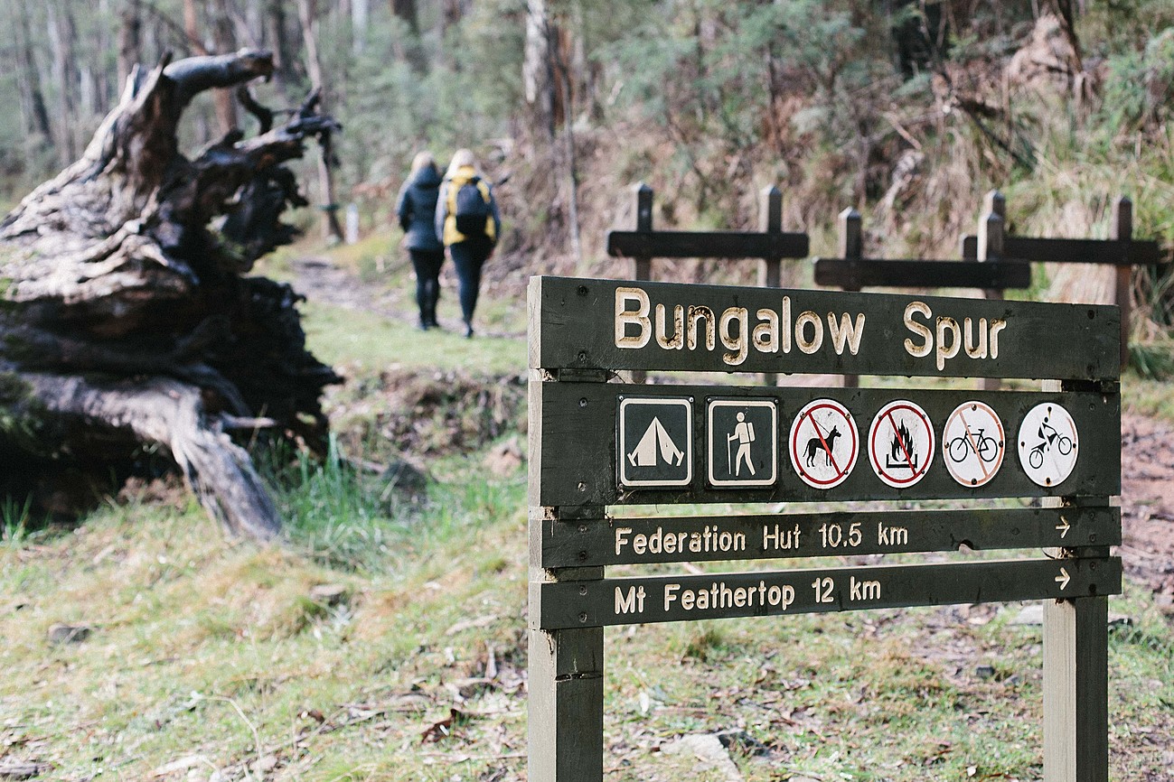 Black Mamba House House for Rent in Harrietville, High Country, VIC