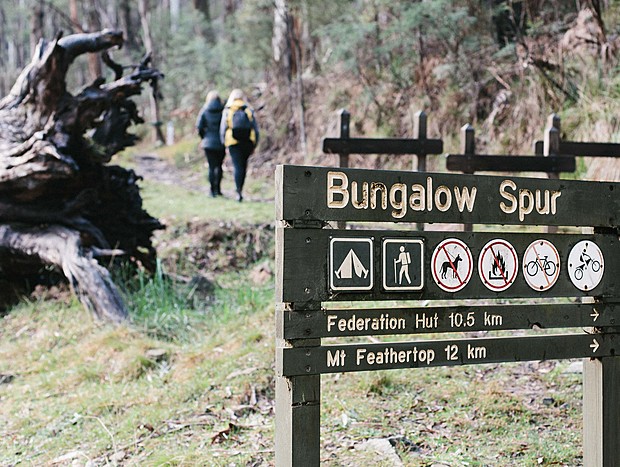 Photo 17 for Hiking the High Country