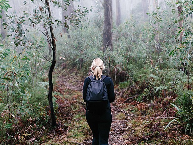 Photo 15 for Hiking the High Country