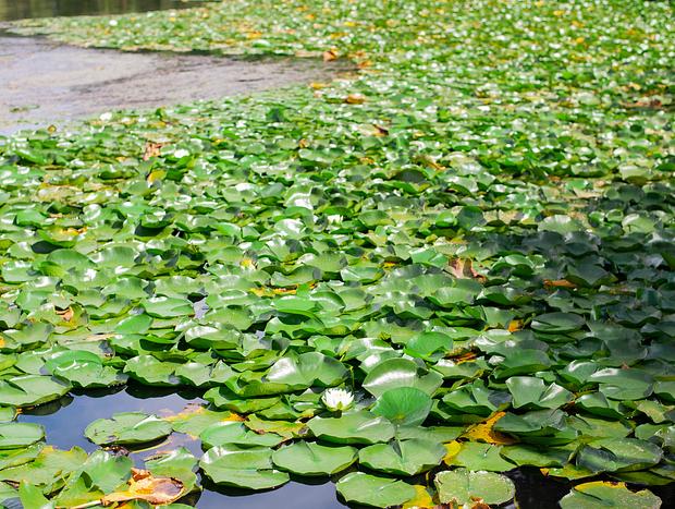 Photo 3 for Meandering Along Lake Sacajawea