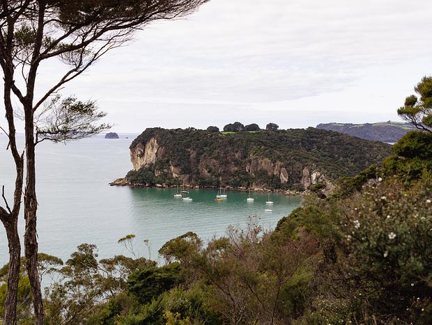 Photo 14 for Coromandel Dreaming