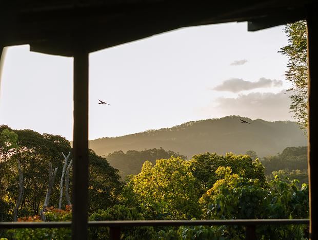 Photo 20 for Unwind in the Hinterland