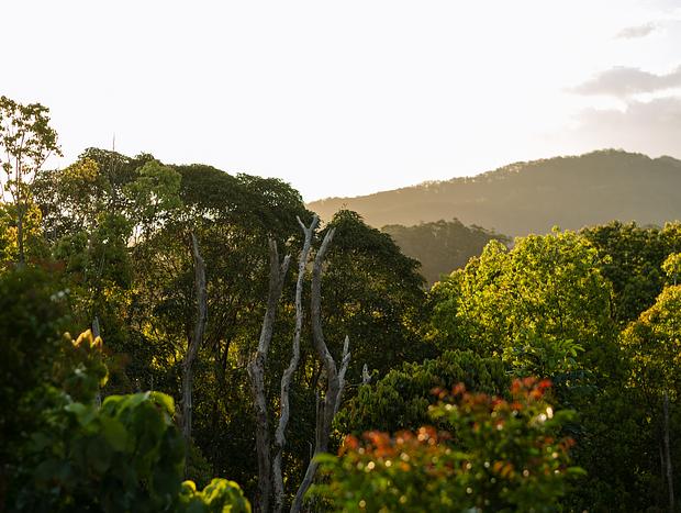 Photo 11 for Unwind in the Hinterland