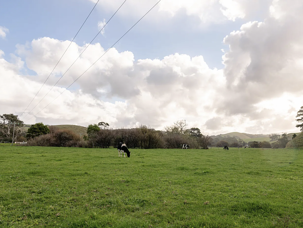 Photo 28 for The Cottage At Kambrook Dairy