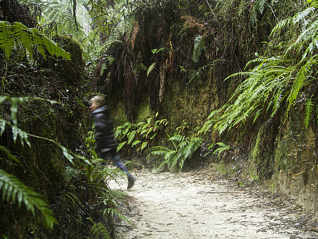 Photo 10 for Escape to the View