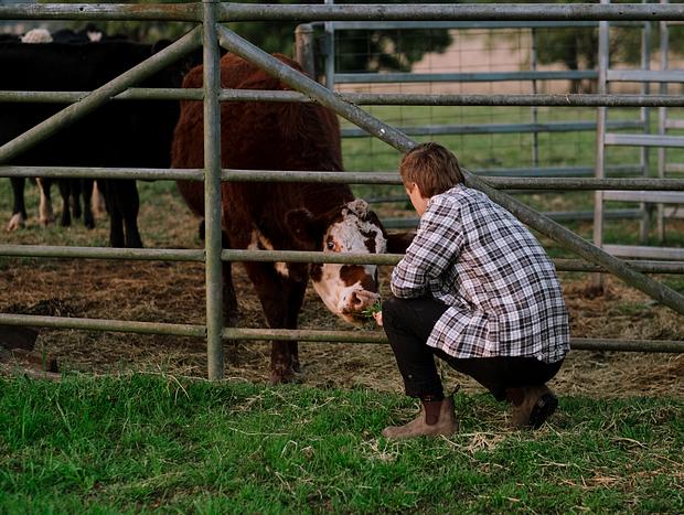 Photo 3 for Farm Life