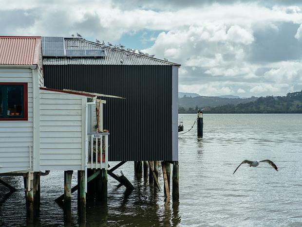 Photo 3 for The Boatshed Cafe
