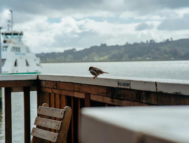 Photo 5 for The Boatshed Cafe