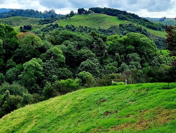 Photo 13 for Cosy Cabin at Wainui Llamas - 10min drive to Ohope Beach