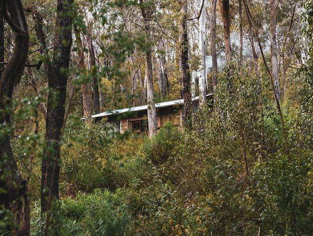 Photo 21 for Rustic Cabin at Monga Mountain Retreat