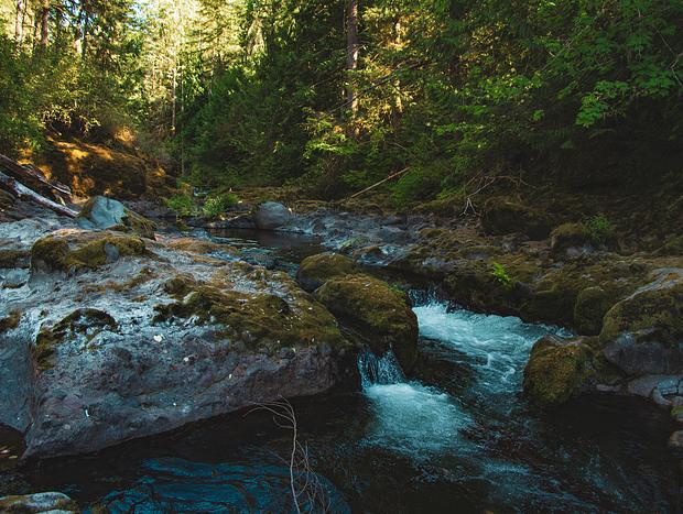 Photo 2 for Deschutes Falls