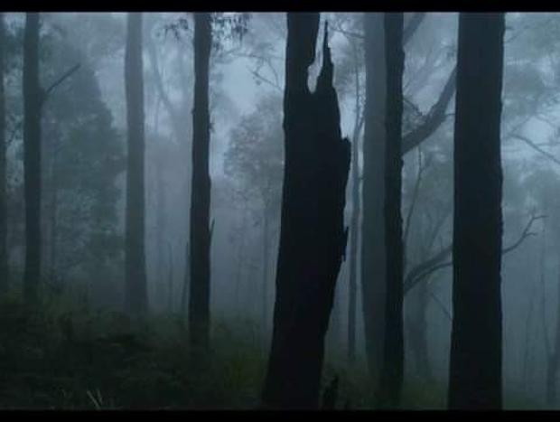 Photo 25 for Banksia Mount Macedon