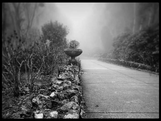Photo 26 for Banksia Mount Macedon