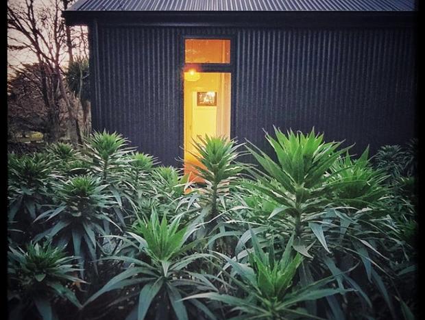 Photo 4 for Banksia Mount Macedon