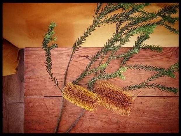 Photo 23 for Banksia Mount Macedon