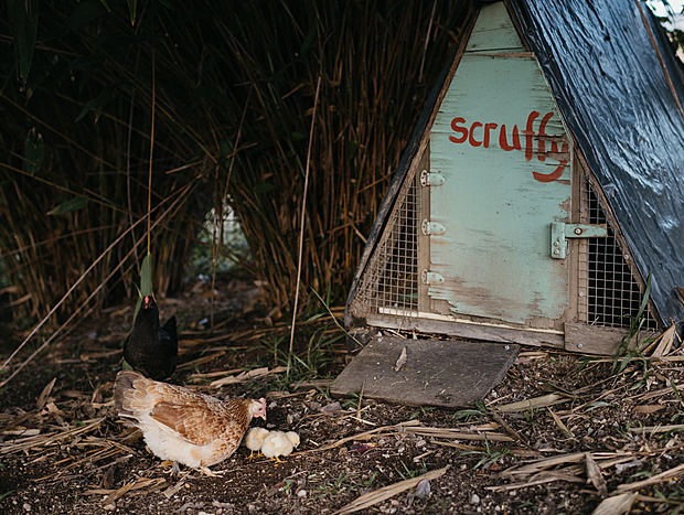 Photo 23 for Bellingen Farm Shed