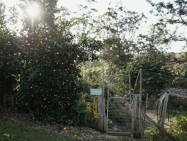 Photo 19 for Bellingen Farm Shed