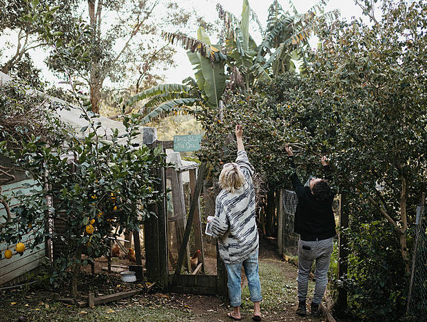 Photo 13 for Bellingen Farm Shed