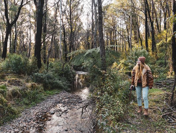 Photo 3 for Bush Walk Along the Creek