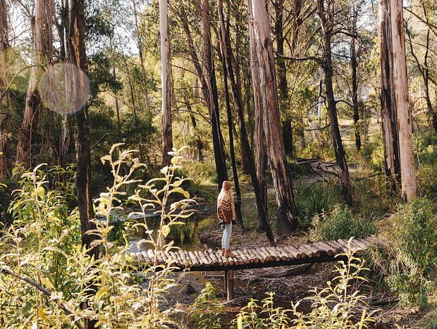 Photo 1 for Bush Walk Along the Creek