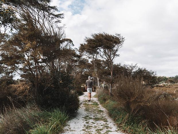 Photo 8 for Cosy Coastal Hut at Pahoia Beach