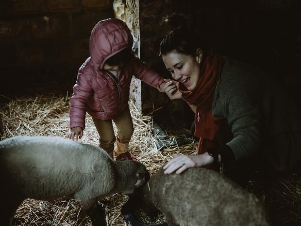Photo 3 for Feeding the Animals