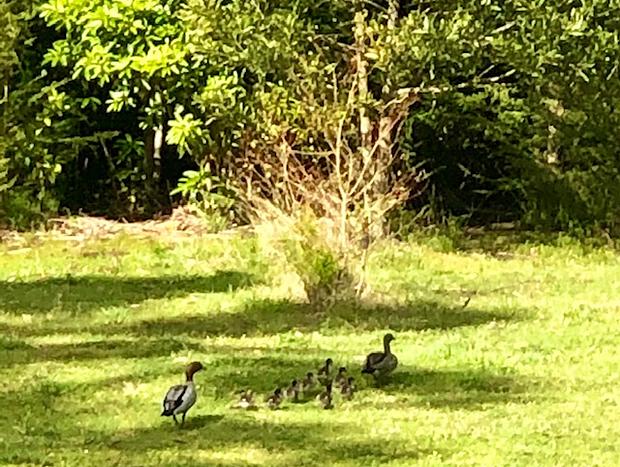 Photo 18 for Don Valley Lodge - Perfect For Families - On 10 Acres