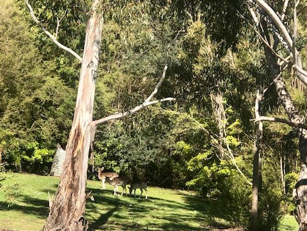 Photo 19 for Don Valley Lodge - Perfect For Families - On 10 Acres