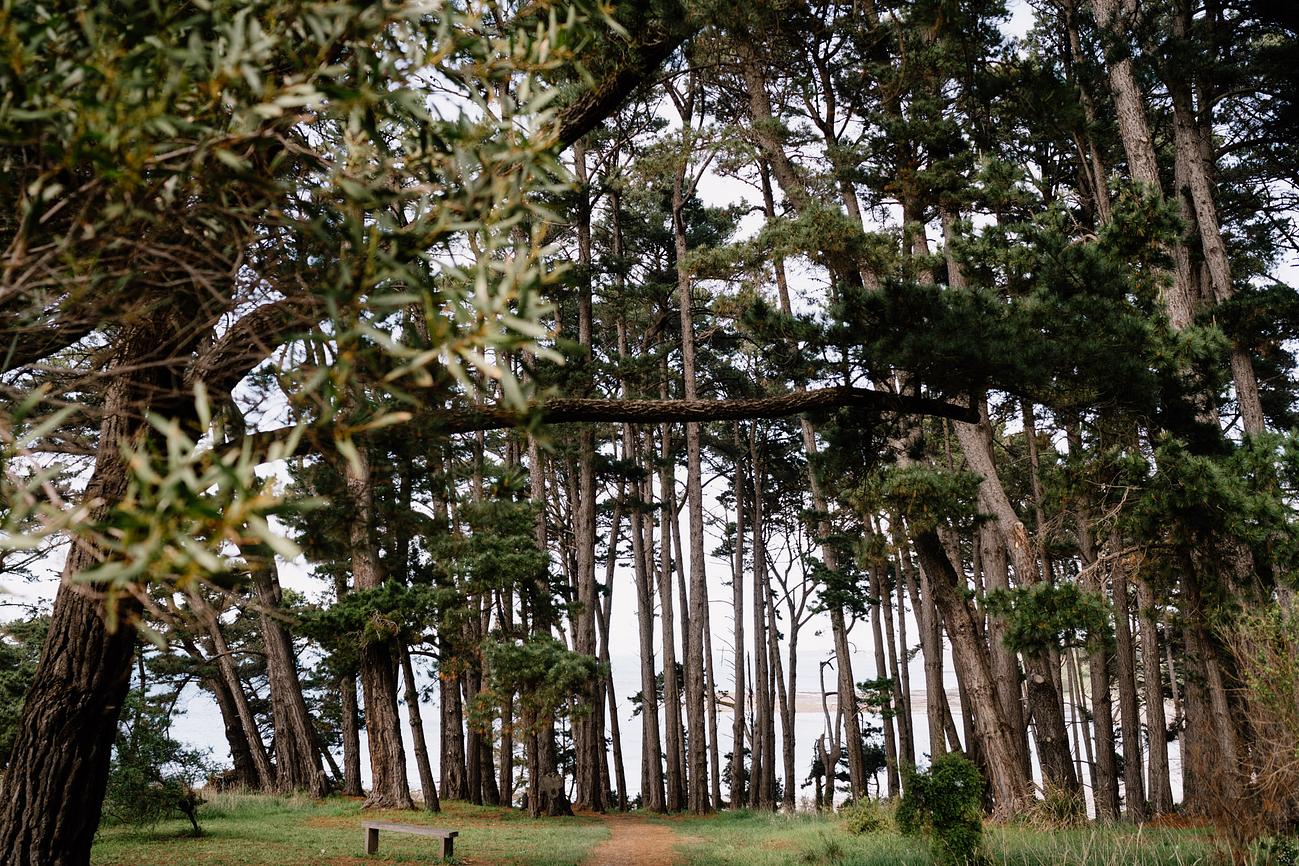 Shoreham Foreshore Activities Riparide