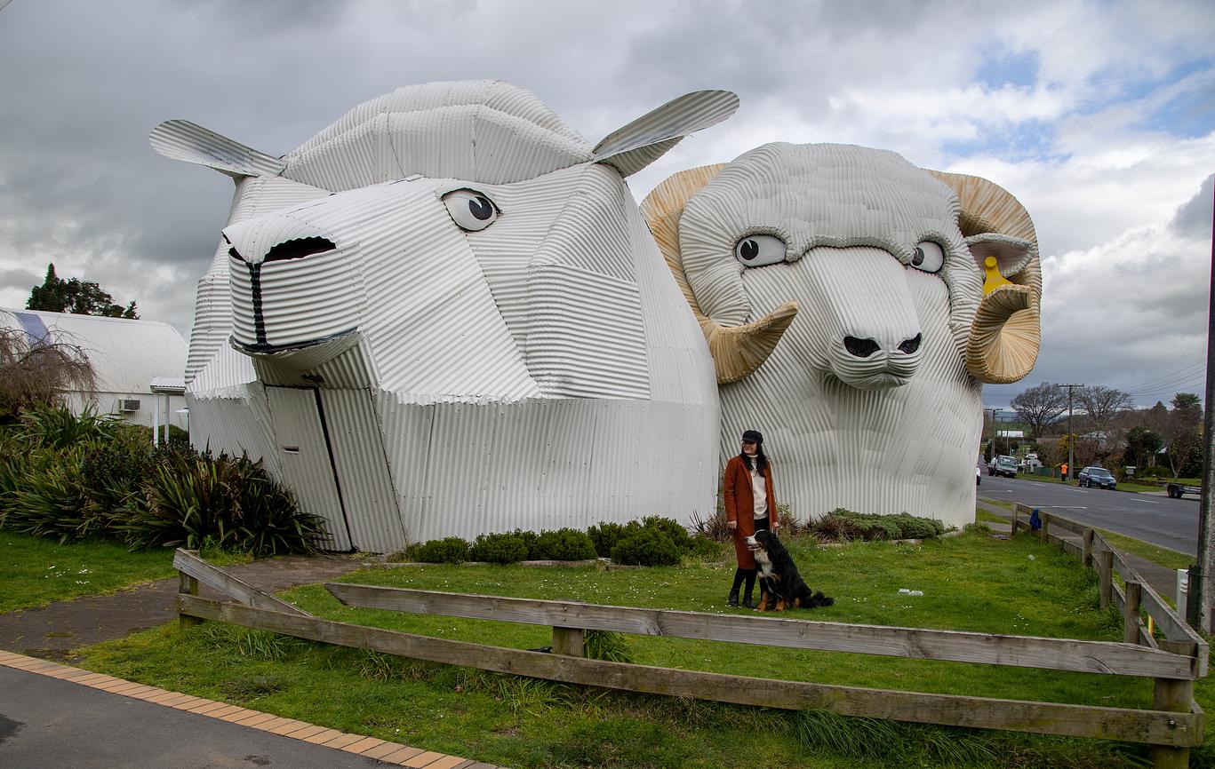 The Corrugated Iron Delights of Tirau Riparide