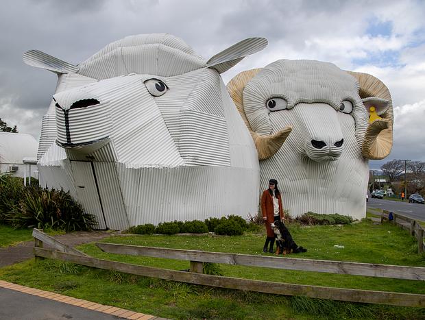 Photo 1 for The Corrugated Iron Delights of Tirau