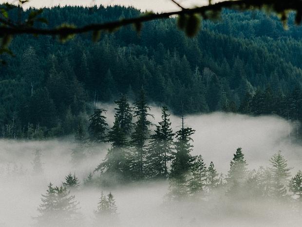 Photo 25 for Lakehouse Retreat on the Oregon Coast