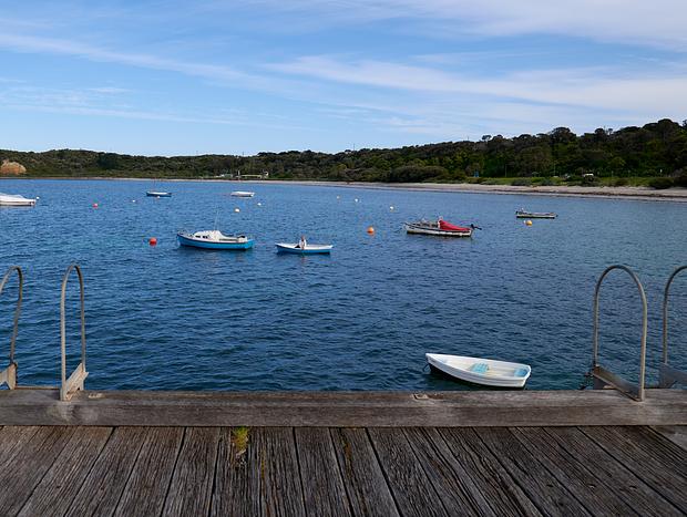 Photo 2 for Fresh Catch at Flinders Pier