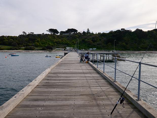 Photo 3 for Fresh Catch at Flinders Pier
