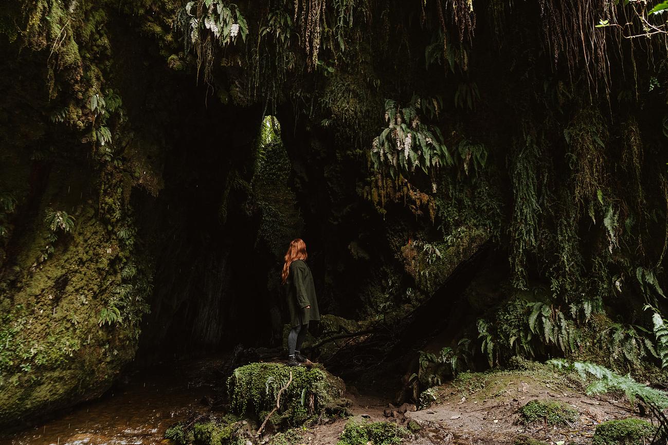 Limestone Glow Worms Cave Riparide