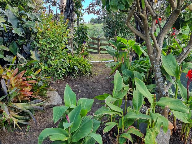 Photo 10 for Cosy Cabin at Wainui Llamas - 10min drive to Ohope Beach