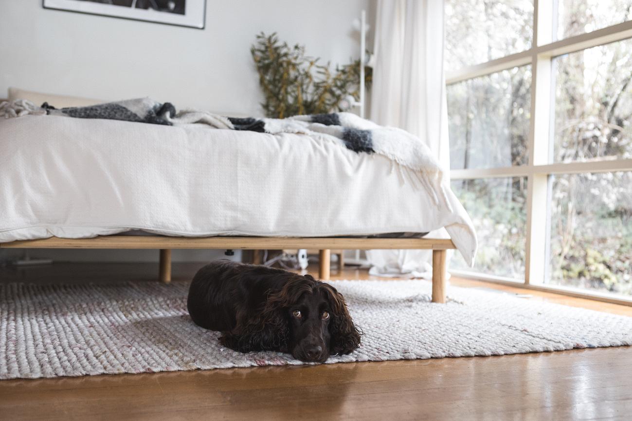 The Hepburn Treehouse Romantic Retreat Cabin for Rent in Hepburn