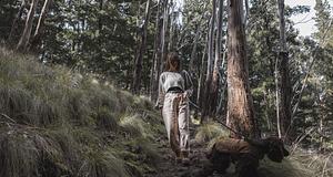 Tortoise-Mode in the Treehouse - Adventure by Trent in Hepburn Springs ...