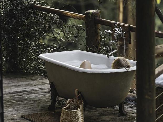 Photo 4 for Byron Hinterland Guest house
