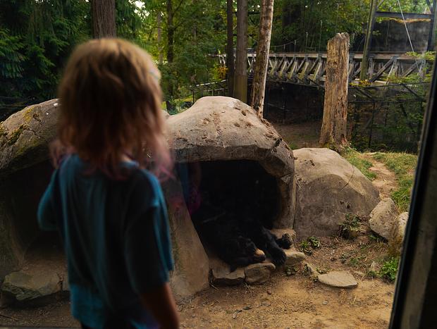 Photo 3 for The Oregon Zoo