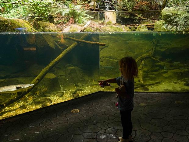 Photo 4 for The Oregon Zoo