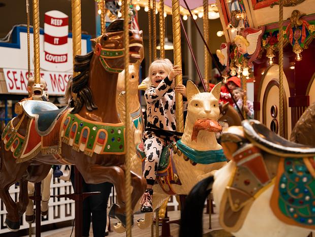 Photo 3 for The Carousel Mall