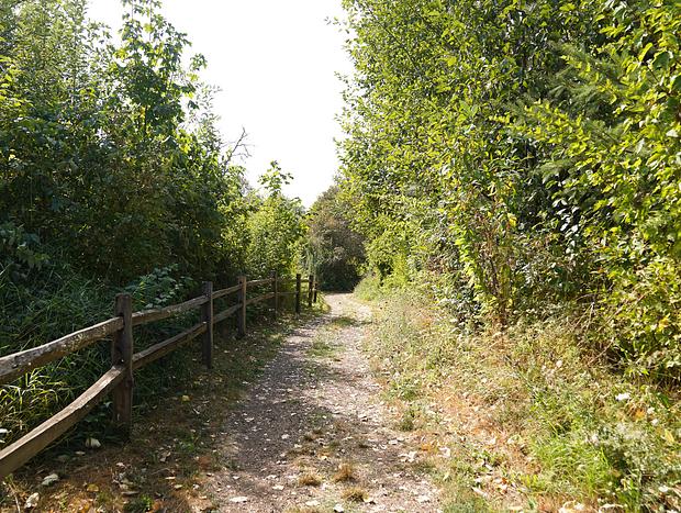 Photo 4 for Jackson Bottom Wetlands Preserve