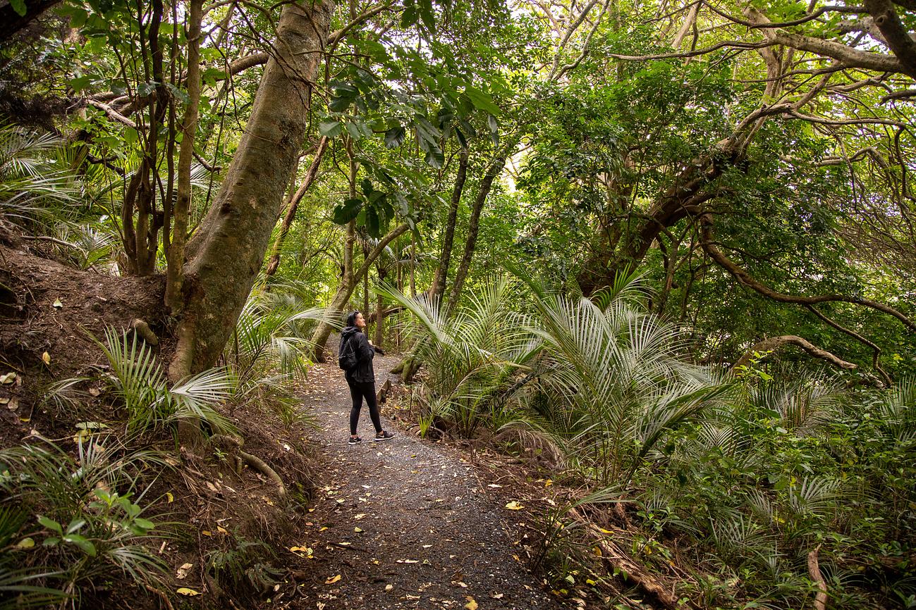 Wenderholm Regional Park Something for Everyone Riparide
