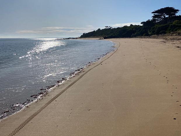 Photo 5 for Rugged coastal escape - water views, nature walks, walk to beach