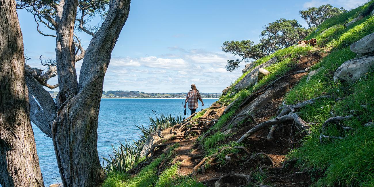 Matakana Retreat Offgrid African Safari Glamping Glamping for Rent in Matakana, Auckland