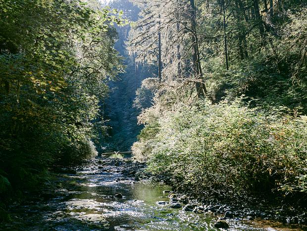 Photo 19 for Glamping in Molalla